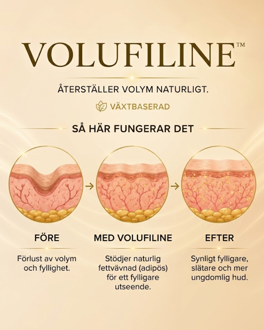 Deep Collagen Silk Ampoule